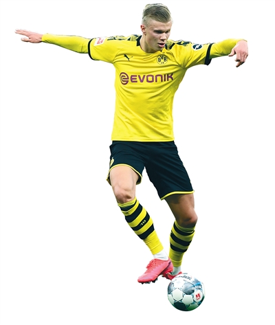 在全球范围 在全球范围