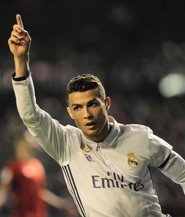 多样性与可 多样性与可